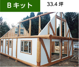 直輸入!!ログキット販売